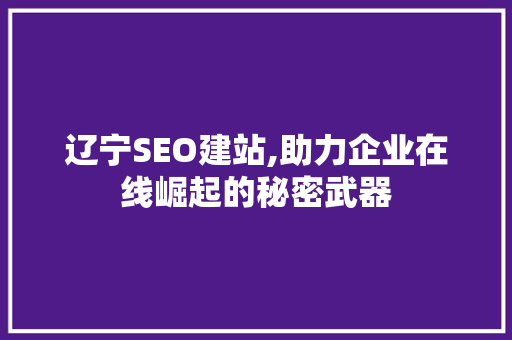辽宁SEO建站,助力企业在线崛起的秘密武器 神马SEO