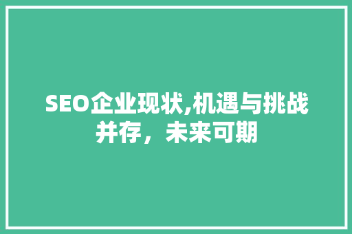 SEO企业现状,机遇与挑战并存，未来可期 搜狗SEO