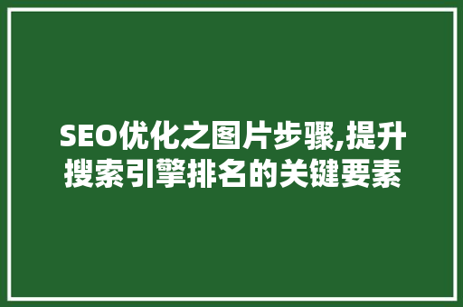 SEO优化之图片步骤,提升搜索引擎排名的关键要素 百度SEO