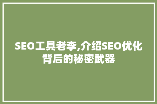 SEO工具老李,介绍SEO优化背后的秘密武器 必应SEO