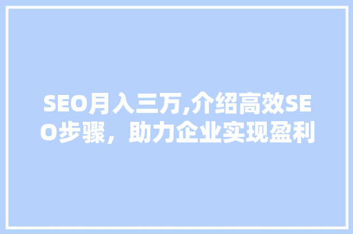 SEO月入三万,介绍高效SEO步骤，助力企业实现盈利增长 必应SEO