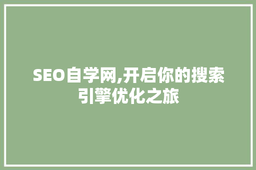 SEO自学网,开启你的搜索引擎优化之旅 百度SEO