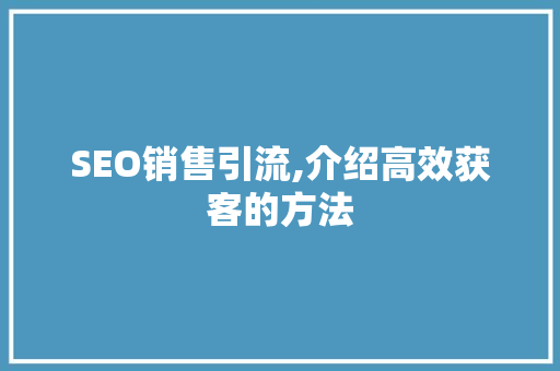 SEO销售引流,介绍高效获客的方法 必应SEO