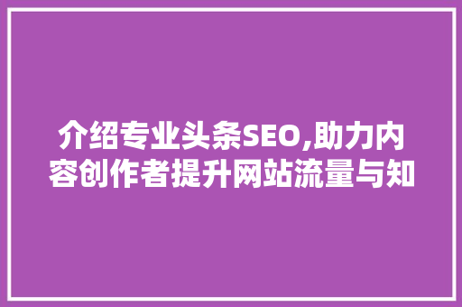 介绍专业头条SEO,助力内容创作者提升网站流量与知名度 搜狗SEO
