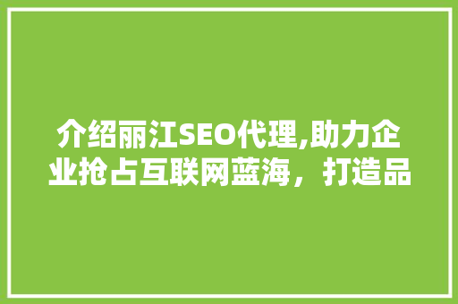 介绍丽江SEO代理,助力企业抢占互联网蓝海，打造品牌新高度 百度SEO