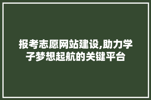 报考志愿网站建设,助力学子梦想起航的关键平台 神马SEO