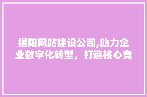 揭阳网站建设公司,助力企业数字化转型，打造核心竞争力 百度SEO