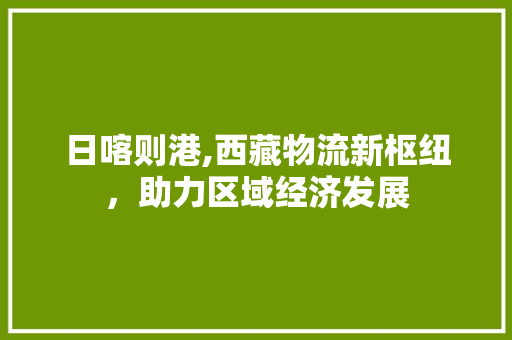 日喀则港,西藏物流新枢纽，助力区域经济发展 搜狗SEO