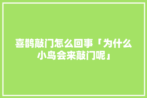喜鹊敲门怎么回事「为什么小鸟会来敲门呢」 喜鹊敲门怎么回事「为什么小鸟会来敲门呢」 神马SEO