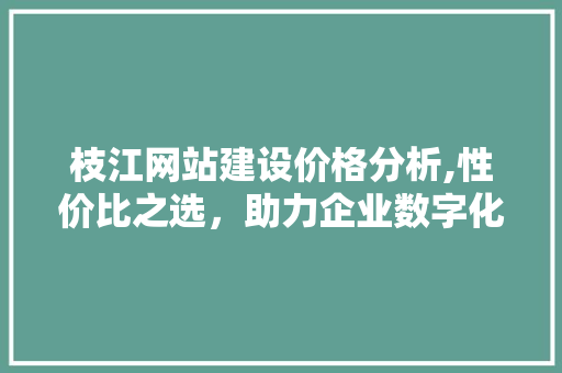 枝江网站建设价格分析,性价比之选，助力企业数字化转型 必应SEO