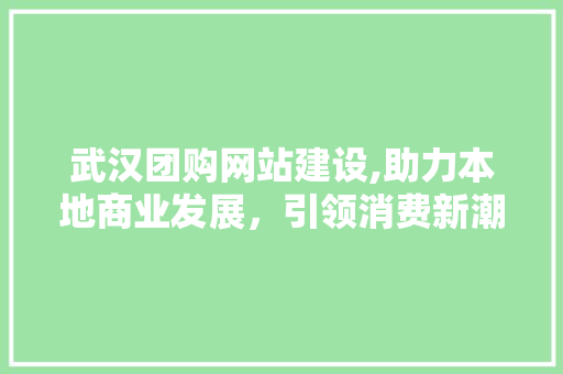 武汉团购网站建设,助力本地商业发展，引领消费新潮流 GoogleSEO