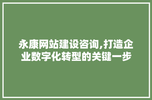 永康网站建设咨询,打造企业数字化转型的关键一步 百度SEO