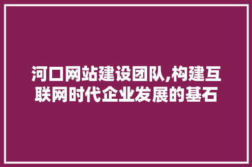 河口网站建设团队,构建互联网时代企业发展的基石 百度SEO