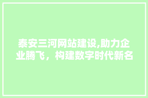泰安三河网站建设,助力企业腾飞，构建数字时代新名片 GoogleSEO