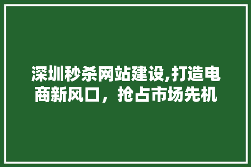 深圳秒杀网站建设,打造电商新风口，抢占市场先机 神马SEO