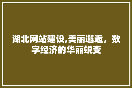 湖北网站建设,美丽邂逅，数字经济的华丽蜕变 GoogleSEO