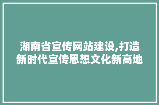 湖南省宣传网站建设,打造新时代宣传思想文化新高地 GoogleSEO