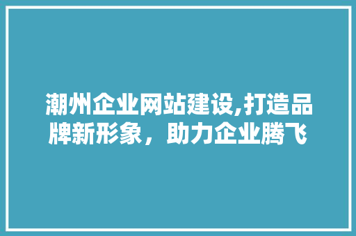 潮州企业网站建设,打造品牌新形象，助力企业腾飞 神马SEO