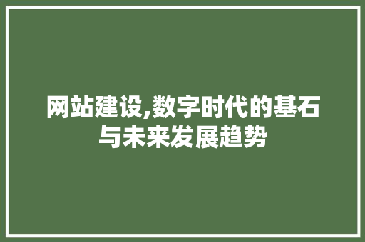 网站建设,数字时代的基石与未来发展趋势 GoogleSEO
