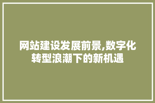 网站建设发展前景,数字化转型浪潮下的新机遇 神马SEO