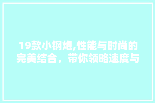 19款小钢炮,性能与时尚的完美结合，带你领略速度与激情！ 神马SEO