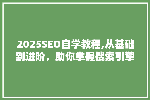 2025SEO自学教程,从基础到进阶，助你掌握搜索引擎优化方法 GoogleSEO