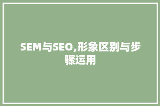 SEM与SEO,形象区别与步骤运用 神马SEO