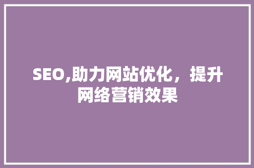SEO,助力网站优化，提升网络营销效果 百度SEO