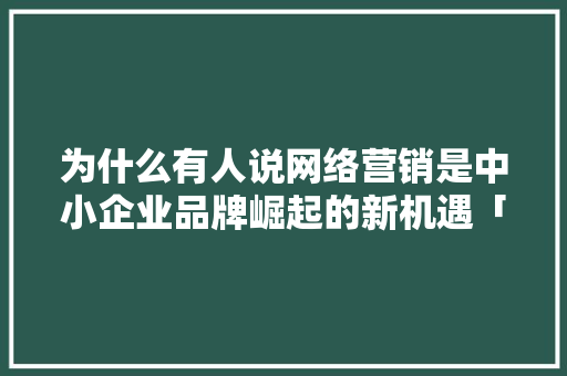 为什么有人说网络营销是中小企业品牌崛起的新机遇「中小企业为什么要建网站呢」 为什么有人说网络营销是中小企业品牌崛起的新机遇「中小企业为什么要建网站呢」 百度SEO