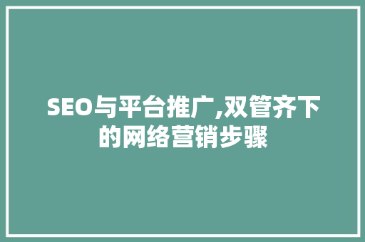 SEO与平台推广,双管齐下的网络营销步骤