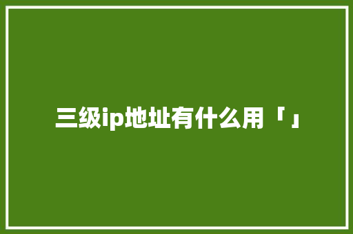 三级ip地址有什么用「」 三级ip地址有什么用「」 必应SEO