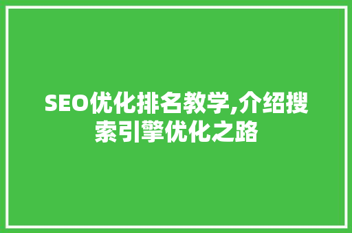 SEO优化排名教学,介绍搜索引擎优化之路