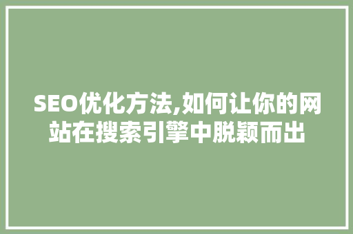 SEO优化方法,如何让你的网站在搜索引擎中脱颖而出 GoogleSEO