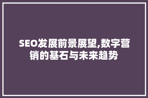 SEO发展前景展望,数字营销的基石与未来趋势 GoogleSEO