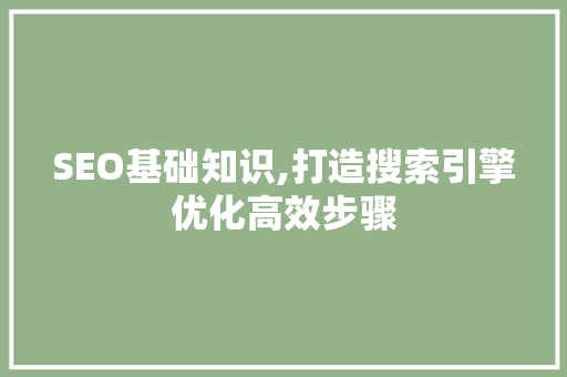 SEO基础知识,打造搜索引擎优化高效步骤 GoogleSEO