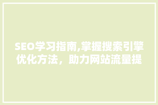 SEO学习指南,掌握搜索引擎优化方法，助力网站流量提升 百度SEO