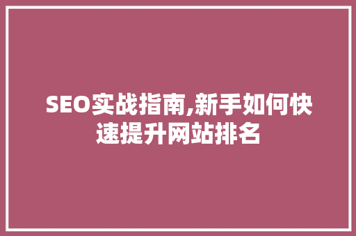 SEO实战指南,新手如何快速提升网站排名 神马SEO