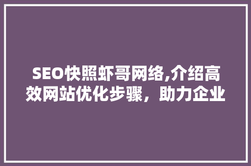SEO快照虾哥网络,介绍高效网站优化步骤，助力企业网络营销 神马SEO