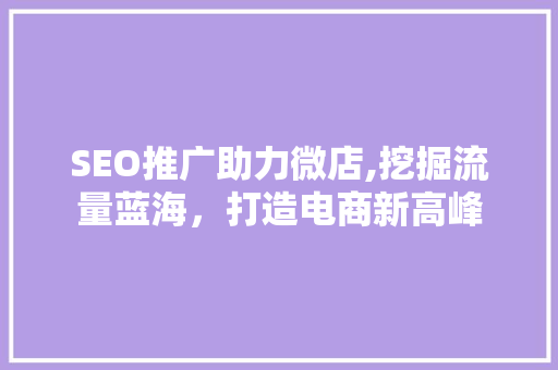 SEO推广助力微店,挖掘流量蓝海，打造电商新高峰