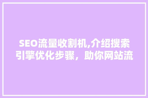 SEO流量收割机,介绍搜索引擎优化步骤，助你网站流量翻倍 必应SEO