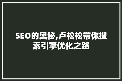 SEO的奥秘,卢松松带你搜索引擎优化之路 搜狗SEO