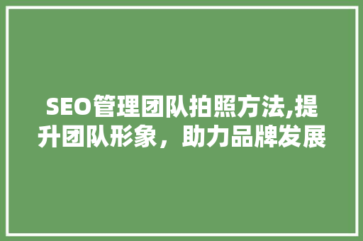 SEO管理团队拍照方法,提升团队形象，助力品牌发展 必应SEO
