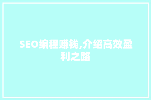 SEO编程赚钱,介绍高效盈利之路 GoogleSEO