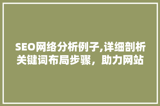 SEO网络分析例子,详细剖析关键词布局步骤，助力网站优化提升 神马SEO
