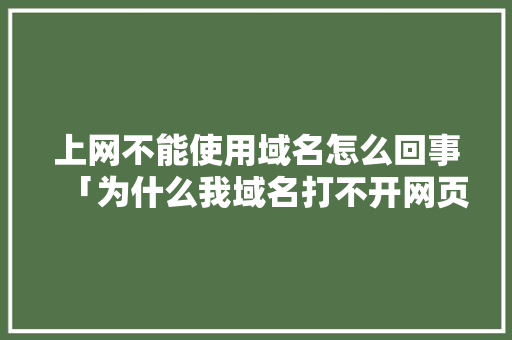 上网不能使用域名怎么回事「为什么我域名打不开网页」 上网不能使用域名怎么回事「为什么我域名打不开网页」 必应SEO