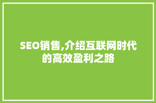 SEO销售,介绍互联网时代的高效盈利之路 搜狗SEO