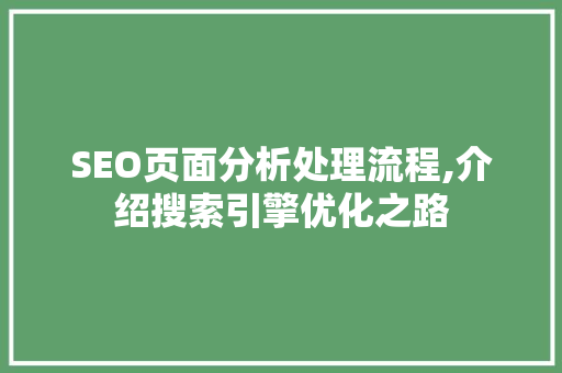 SEO页面分析处理流程,介绍搜索引擎优化之路