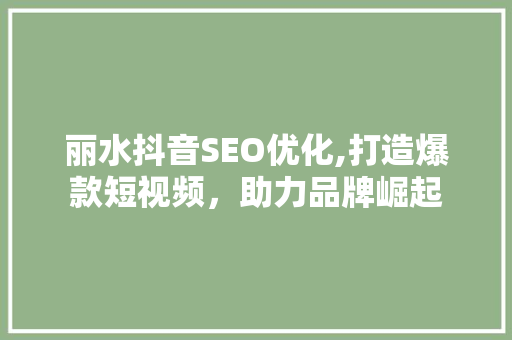 丽水抖音SEO优化,打造爆款短视频，助力品牌崛起 百度SEO