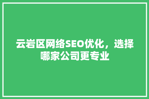 云岩区网络SEO优化，选择哪家公司更专业 GoogleSEO