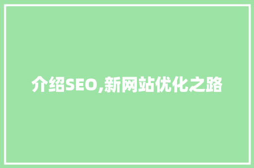 介绍SEO,新网站优化之路